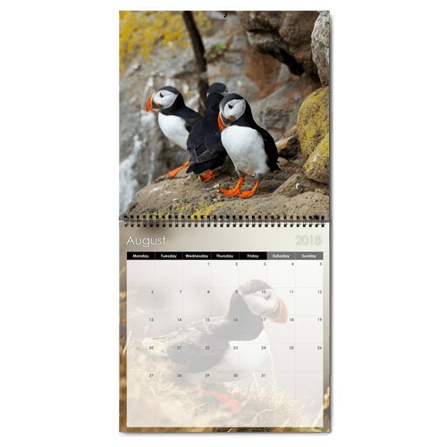 12x12 Photo Calendar