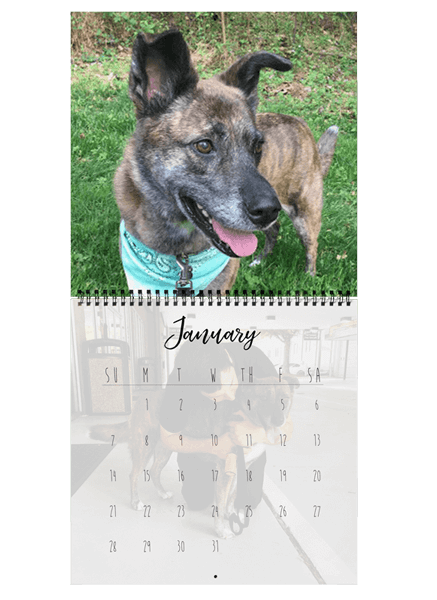 picture calendars