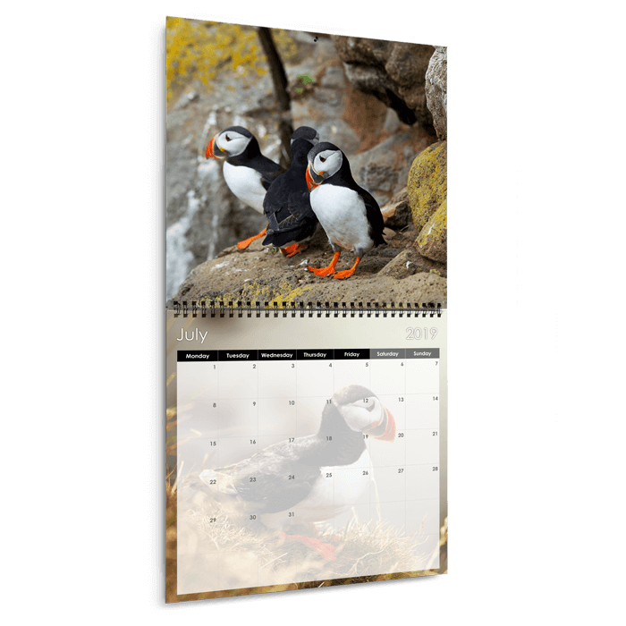 Photo Calendars PrestoPhoto