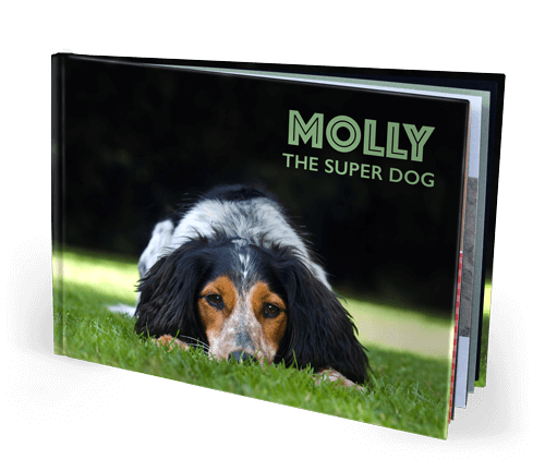 Landscape Photo Books
