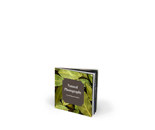 5x5 Layflat Imagewrap Hardcover Photo Book with Velvet 250 Hinged Photo Paper