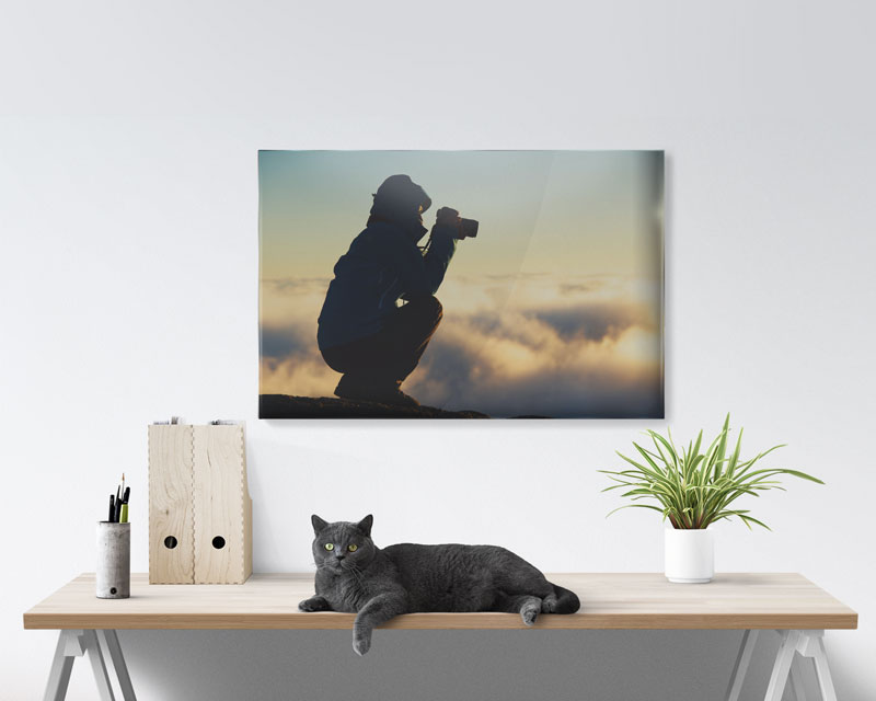 20x30 Acrylic Prints