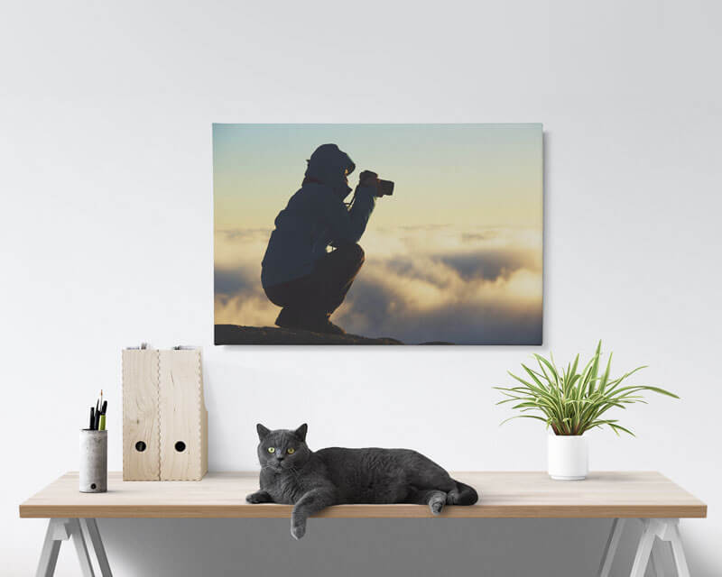 20x30 Canvas Print