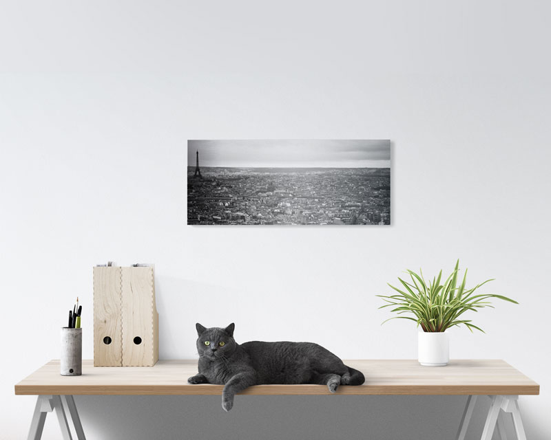 10x24 Panoramic Metal Prints