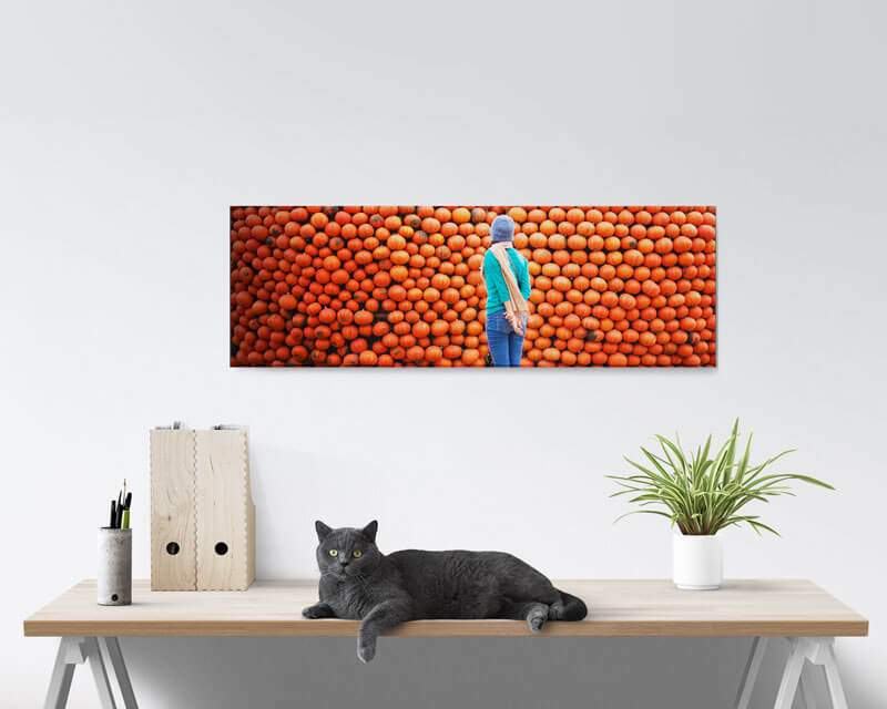 12x36 Panoramic Acrylic Prints