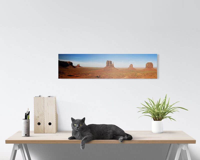 8x32 Panoramic Metal Prints