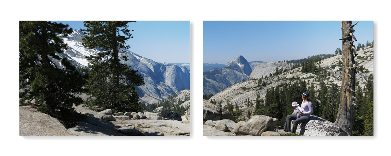 Diptych Panorama