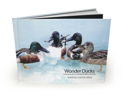 11x8.5 Photo Book